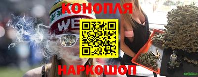 МДПВ Бердск